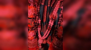 આપને અને આપના પરિવારને અષાઢી બીજની હાર્દિક શુભકામનાઓ