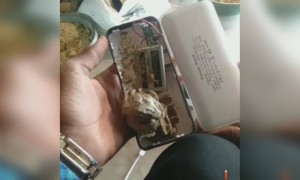 મેળા માંથી ખરીદી પાવર બેંક, ઘરે આવીને ખોલી તો અંદરથી નીકળ્યું કાંઈક આવું