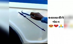 પળવારમાં આ કલાકારે બનાવી ધીધુ ચિત્ર