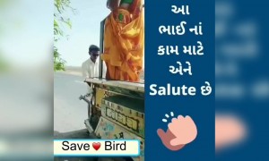 આ ધોમ ધગતાં તાપમાં તમારા ઘરની અગાસી પર પક્ષિઓ માટે એક કુંડૂતો જરૂર મુકજો