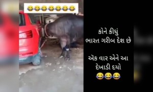 ગુજરાતને ગરીબ રાજ્ય કહેવાવાળને જરા આ વિડીયો બતાવી દેજો