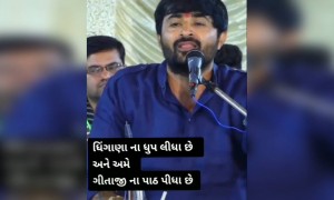 ભારતનો ઇતિહાસ, ધીંગાણાના ધૂપ લીધા છે અને અમે ગીતાજીના પાઠ પીધા છે