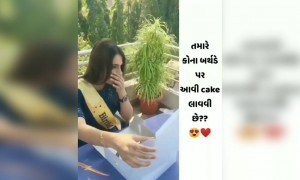 છે તમારા ગ્રુપમાં આવું કોઈ? જેને આવી કેક આપી શકાય