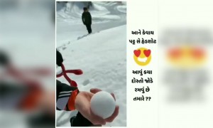 આને કહેવાય પરફેક્ટ નિશાનો
