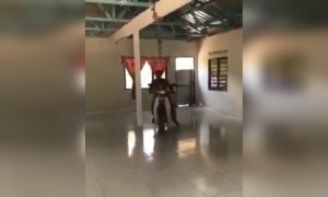 મોતના કુવાનો ખેપાની ડ્રાઇવર વર્ક ફ્રોમ હોમ કરી રહ્યો છે