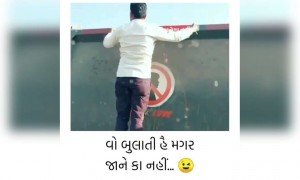 ડ્રાઇવર દિલની વાત લખી ડમ્પર પાછળ