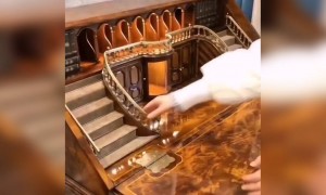 આ ફર્નિચર બનાવવા વાળા મિસ્ત્રીની કારીગરી ખરેખર અદભૂત છે