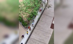 કોરોના ઈફેક્ટ: આ લાઈન શાકભાજી માર્કેટની છે, આને કહેવાય ડીસિપ્લીન