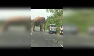 ટેલેન્ટની કમી નથી ભારતમાં, જુઓ આ જાદુગર ને