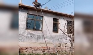 આને કહેવાય જુગાડ