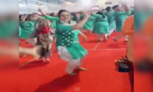 હા ગરબાની મોજ હા