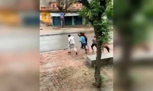 આને કહેવાય ખોફ, ખાલી અવાજ સાંભળીને ભાગે