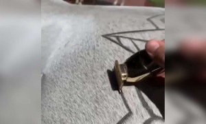 આ કલાકાર બનાવે છે ઘોડા પર ચિત્ર