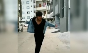 નો જવાય... નો જવાય...