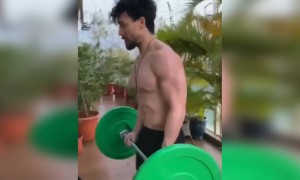 ટાઇગર શ્રોફે શેર કર્યો ફિટનેસ વીડિયો, એક જ દિવસમાં જોઈ ચૂક્યા છે લાખો લોકો