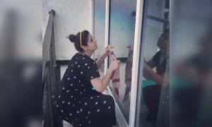 સલમાન ખાનની હિરોઈન ઝરીન ખાન કરી રહી છે સાફ-સફાઈ જુઓ વિડીયો