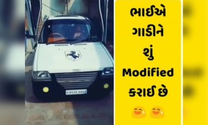 ભાઈએ ફન્ટી માંથી ફરારી બનાવી દીધી