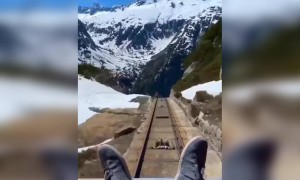 એક વાર આ રાઈડમાં બેસવું છે