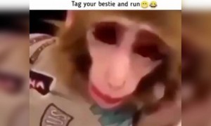 છે કોઈ તમારા ગ્રુપમાં આટલો મેકપ કરવા વાળી