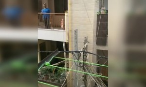 લોકડાઉનના દરમિયાન પણ મોજ કરી લ્યે એ ગુજરાતી હો