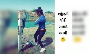 શહેરની ગોરી ગામડે આવી