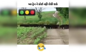 સુપરફાસ્ટ રાજધાની એક્સપ્રેસ આવી રહી છે મહેરબાની કરી સ્ટેશનથી દુર રહો