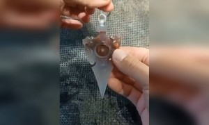 આ કારીગરે પથ્થરમાં કોતરણી કામ કરી બનાવી અદભૂત કલાકૃતિઓ