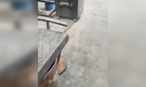 કાચમાંથી કઈ રીતે થાય છે કલાકૃતિઓ તૈયાર