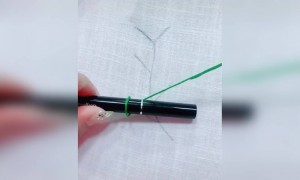 કઇ રીતે તમે પોતાને જાતેજ કરી શકો છો સુંદર અેમ્બ્રોડરી