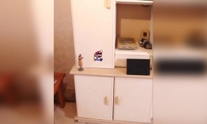 કોણ કોણ છે સુપર મારિયો ના ફેન?