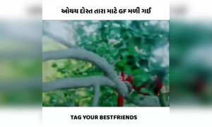 અલ્યા ભાભી મળી ગઈ જો