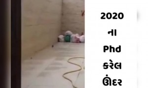 આજકાલના ઉંદરડા પણ ગજબના ચાલાક થઇ ગયા છે