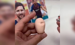 તસવીર જોઈ બનનવ્યું આ ક્લે આર્ટ છે ને આબેહૂબ?