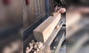 કારીગરે બનાવ્યું આબેહૂબ નાનું એવું જહાજ