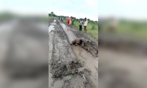 તમે ક્યારેય કોઈ મિત્રના લગ્નમાં આવો નાગિન ડાન્સ જોયો છે?