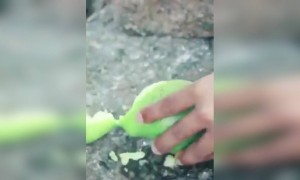 આ વિડિઓ જોવાથી 100 ટાકા મોંમાં પાણી આવશે.