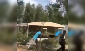 અરે ભાઈ સંભાળીને