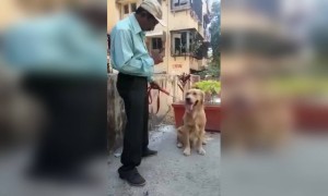 ગણિતના શિક્ષકનો કૂતરો કેવો હોય.....