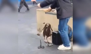 એક અલગ પ્રકારનો કતપૂતળીનો ખેલ