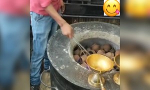 ચા પ્રેમીઓ માટે ખાસ વિડિઓ, તંદુરી ચા