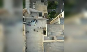 ધાબા પર ભજીયા પાર્ટીમાં પોલીસે ડ્રોનથી મોર બોલાવી દીધા