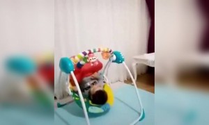 ગજબના તૈયાર છે આજકાલના છોકરાઓ