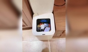 ટેકનોલોજી: સ્માર્ટ ડસ્ટબીન