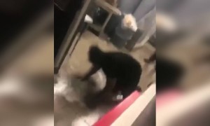 સફાઈ કરવામાં ઉત્સાહ બરાબર છે પણ સાવચેતી પણ જરૂરી છે