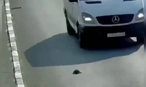 જાકો રાખે સાંઇયા માર સકે ના કોઈ