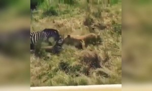 હિમ્મતે બંદા મદદે ખુદા