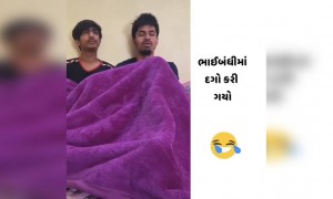 ભાઈ બંધીમાં આવડો મોટો દગો