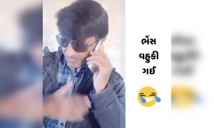 ભેંસ વહુકી ગઈ