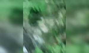 કર્મનો સંગાથી રાણા મારો કોઈ નથી