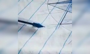 કેમેરાની કમાલ ખબર નહોતી કે આટલું પણ zoom થઇ શકે